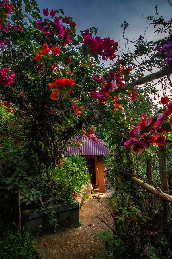 Hotel Ecotones Munnar By Eden Environs Exterior foto